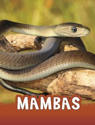 Picture of Mambas