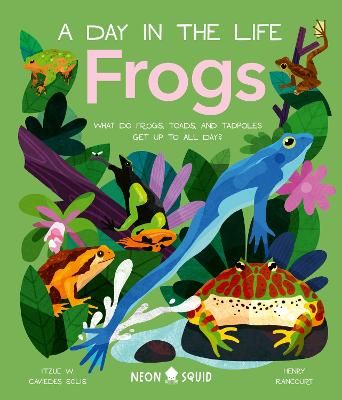 Picture of Frogs (A Day in the Life): What Do Frogs, Toads, and Tadpoles Get Up to All Day?