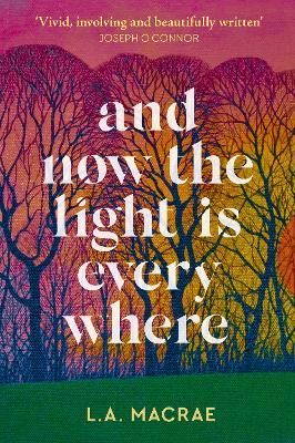 Picture of And Now the Light is Everywhere: A stunning debut novel of family secrets and redemption