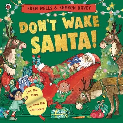 Picture of Don't Wake Santa: A lift-the-flap Christmas book