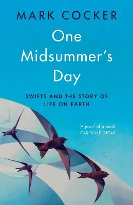 Picture of One Midsummer's Day: Swifts and the Story of Life on Earth
