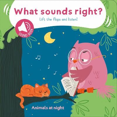 Picture of Animals at Night (What Sounds Right)