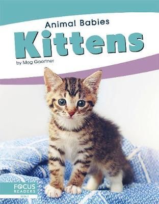 Picture of Animal Babies: Kittens