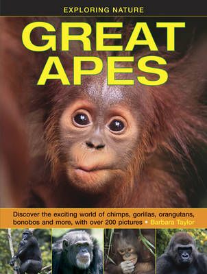 Picture of Exploring Nature: Great Apes