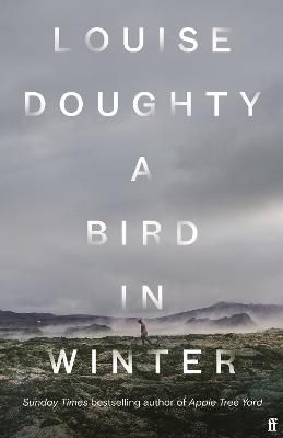 Picture of A Bird in Winter: 'Nail-bitingly tense and compelling' Paula Hawkins