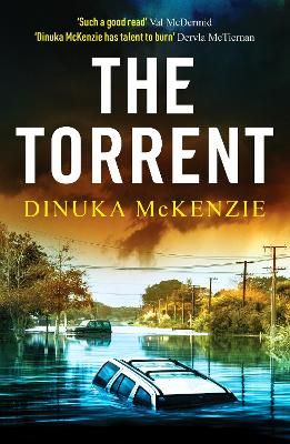 Picture of The Torrent: An unputdownable Australian crime thriller