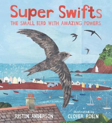 Picture of Super Swifts: The Small Bird With Amazing Powers