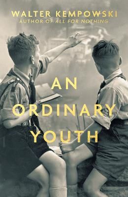 Picture of An Ordinary Youth: A Novel