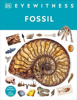 Picture of Fossil