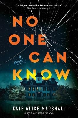 Picture of No One Can Know: A Novel