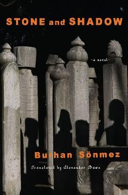 Picture of Stone And Shadow: A Novel