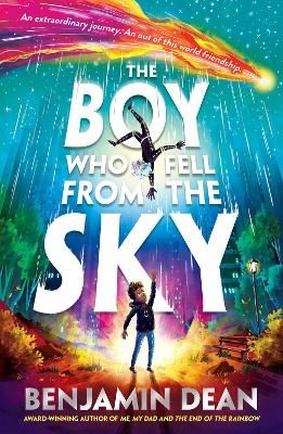 Picture of The Boy Who Fell From the Sky