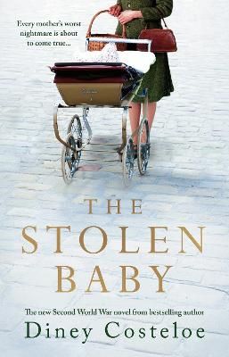Picture of The Stolen Baby