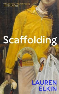 Picture of Scaffolding