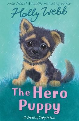 Picture of The Hero Puppy