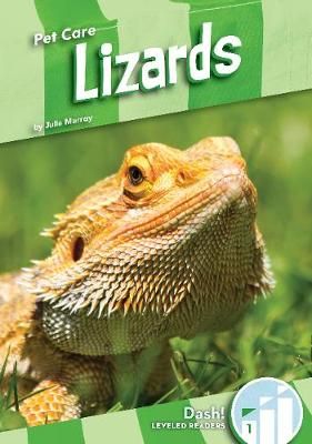 Picture of Pet Care: Lizards