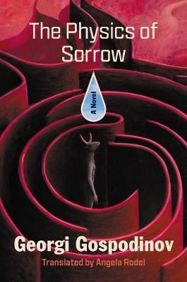 Picture of The Physics of Sorrow: A Novel