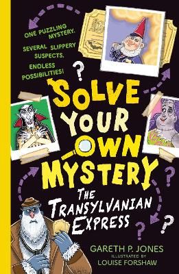 Picture of Solve Your Own Mystery: The Transylvanian Express