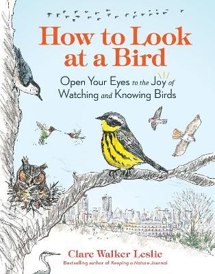 Picture of How to Look at a Bird: Open Your Eyes to the Joy of Watching and Knowing Birds