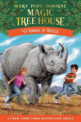 Picture of Rhinos at Recess