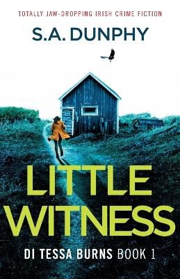 Picture of Little Witness: Totally jaw-dropping Irish crime fiction