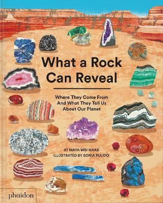 Picture of What a Rock Can Reveal: Where They Come From And What They Tell Us About Our Planet