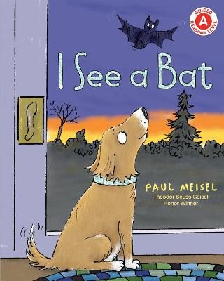 Picture of I See a Bat