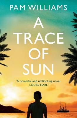 Picture of A Trace of Sun: a powerful and extraordinary novel exploring the long-term emotional impact of family separation