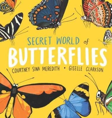Picture of Secret World of Butterflies