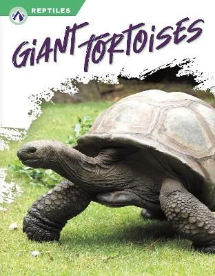 Picture of Reptiles: Giant Tortoises