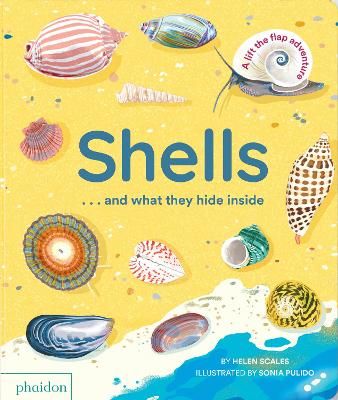 Picture of Shells... and what they hide inside: A Lift-the-Flap Adventure