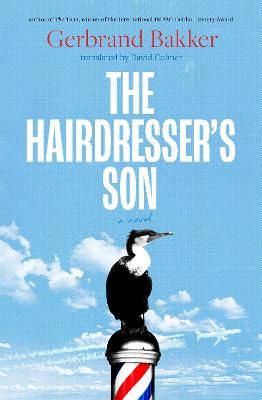 Picture of The Hairdresser's Son