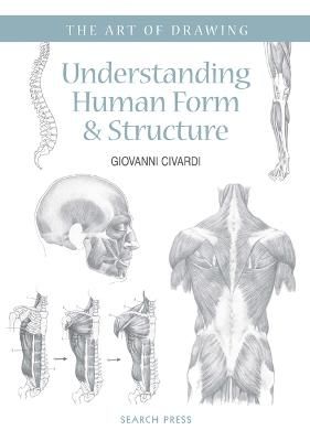 Picture of Art of Drawing: Understanding Human Form & Structure
