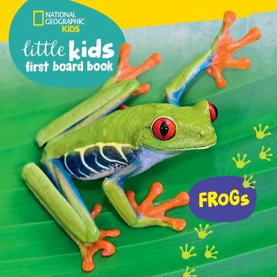 Picture of Little Kids First Board Book: Frogs