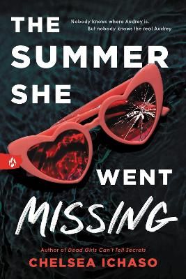 Picture of The Summer She Went Missing