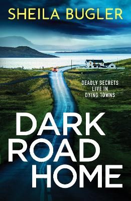 Picture of Dark Road Home: A tense and gripping Irish crime thriller