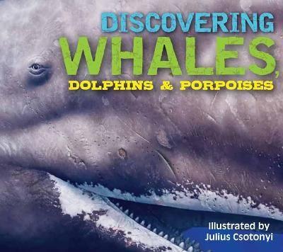 Picture of Discovering Whales, Dolphins and   Porpoises: The Ultimate Guide to the Ocean's Largest Mammals