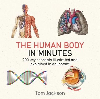 Picture of The Human Body in Minutes