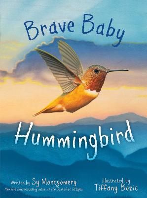 Picture of Brave Baby Hummingbird